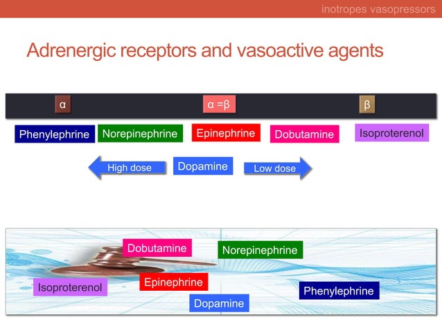 Rational choice of inotropes and vasopressors in intensive care unit ...