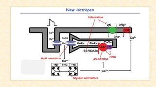 Inotropic agents | PPTX