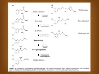 Inotropes Classification inotropic drugs and vassopressors drugs.pptx