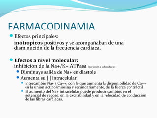 FARMACODINAMIA
Efectos principales:
  inótropicos positivos y se acompañaban de una
  disminución de la frecuencia cardiaca.

Efectos a nivel molecular:
  inhibición de la Na+/K+ ATPasa (por unión a subunidad α)
    Disminuye salida de Na+ en diastole
    Aumenta su [ ] intracelular
      Intercambio Na+ / Ca++, con lo que aumenta la disponibilidad de Ca++
       en la unión actino/miosina y secundariamente, de la fuerza contráctil
      El aumento del Na+ intracelular puede producir cambios en el
       potencial de reposo, en la excitabilidad y en la velocidad de conducción
       de las fibras cardíacas.
 