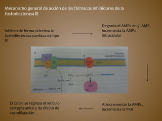 Mecanismo general de acción de los fármacos inhibidores de la
fosfodiesterasa lll
Inhiben de forma selectiva la
fosfodiesterasa cardiaca de tipo
lll
Degrada el AMPc en 5’-AMP,
incrementa la AMPc
intracelular
Al incrementar la AMPc,
incrementa la PKA
El calcio se regresa al retículo
sarcoplasmico y da efecto de
vasodilatación
 