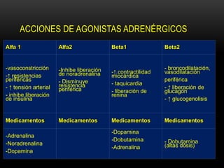ACCIONES DE AGONISTAS ADRENÉRGICOS
Alfa 1 Alfa2 Beta1 Beta2
-vasoconstricción
-↑ resistencias
periféricas
- ↑ tensión arterial
- inhibe liberación
de insulina
-Inhibe liberación
de noradrenalina
- Disminuye
resistencia
periférica
-↑ contractilidad
miocárdica
- taquicardia
- liberación de
renina
- broncodilatación,
vasodilatación
periférica
- ↑ liberación de
glucagón
- ↑ glucogenolisis
Medicamentos Medicamentos Medicamentos Medicamentos
-Adrenalina
-Noradrenalina
-Dopamina
-Dopamina
-Dobutamina
-Adrenalina
- Dobutamina
(altas dósis)
 