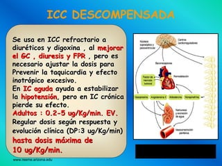 www.reeme.arizona.edu
ICC DESCOMPENSADA
Se usa en ICC refractario aSe usa en ICC refractario a
diurdiurééticos y digoxina , alticos y digoxina , al mejorarmejorar
el GC , diuresis y FPRel GC , diuresis y FPR , pero es, pero es
necesario ajustar la dosis paranecesario ajustar la dosis para
Prevenir la taquicardia y efectoPrevenir la taquicardia y efecto
inotrinotróópico excesivo.pico excesivo.
EnEn IC agudaIC aguda ayuda a estabilizarayuda a estabilizar
lala hipotensihipotensióónn, pero en IC cr, pero en IC cróónicanica
pierde su efecto.pierde su efecto.
Adultos : 0.2Adultos : 0.2--55 ugug//KgKg/min. EV./min. EV.
Regular dosis segRegular dosis segúún respuesta yn respuesta y
evolucievolucióón cln clíínica (DP:3nica (DP:3 ugug//KgKg//minmin))
hasta dosis mhasta dosis mááxima dexima de
1010 ugug//KgKg/min./min. Modelo neurohormonal de
insuficiencia cardíaca
www.reeme.arizona.edu
 
