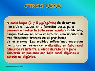 www.reeme.arizona.edu
OTROS USOSOTROS USOS
AA dosis bajas (2 y 5dosis bajas (2 y 5 µµg/Kg/g/Kg/minmin)) de dopaminade dopamina
han sido utilizadas en diferentes casos parahan sido utilizadas en diferentes casos para
prevenir o tratar la falla renal agudaprevenir o tratar la falla renal aguda establecida,establecida,
aunque todavaunque todavíía no haya resultados convincentes dea no haya resultados convincentes de
modificaciones francas en el pronmodificaciones francas en el pronóósticostico
de los mismos. Las posibles indicaciones aceptadasde los mismos. Las posibles indicaciones aceptadas
por ahora son su uso comopor ahora son su uso como diurdiuréético en falla renaltico en falla renal
OligOligúúricarica resistente a otros diurresistente a otros diurééticos y paraticos y para
Convertir un paciente con falla renalConvertir un paciente con falla renal oligoligúúricarica aa
estado noestado no oligoligúúricorico..
 
