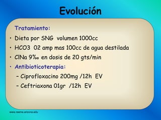 www.reeme.arizona.edu
Tratamiento:
• Dieta por SNG volumen 1000cc
• HCO3 02 amp mas 100cc de agua destilada
• ClNa 9%o en dosis de 20 gts/min
• Antibioticoterapia:
– Ciprofloxacino 200mg /12h EV
– Ceftriaxona 01gr /12h EV
Evolución
 