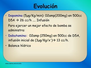 www.reeme.arizona.edu
• Dopamina (5µg/Kg/min): 02amp(200mg) en 500cc
D5A 26 cc/h .... Infusión
Para ejercer un mejor efecto de bomba se
administra:
• Dobutamina: 02amp (250mg) en 500cc de D5A,
infusión inicial de (3µg/Kg/x´) 13 cc/h.
• Balance hídrico
Evolución
 