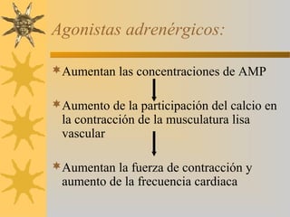 Agonistas adrenérgicos:

Aumentan las concentraciones de AMP

Aumento de la participación del calcio en
  la contracción de la musculatura lisa
  vascular

Aumentan la fuerza de contracción y
  aumento de la frecuencia cardiaca
 