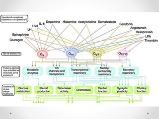 Agentes Inotropicos Inotropicos y vasopresores. farmacologia clinica | PPTX