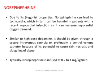 NOREPINEPHRINE
• Due to its β-agonist properties, Norepinephrine can lead to
tachycardia, which in turn can be harmful in patients with a
recent myocardial infarction as it can increase myocardial
oxygen demand.
• Similar to high-dose dopamine, it should be given through a
secure intravenous cannula or, preferably, a central venous
catheter because of its potential to cause skin necrosis and
sloughing of tissue.
• Typically, Norepinephrine is infused at 0.2 to 1 mg/kg/min.
INOTROPIC THERAPY FOR HEART FAILURE
 