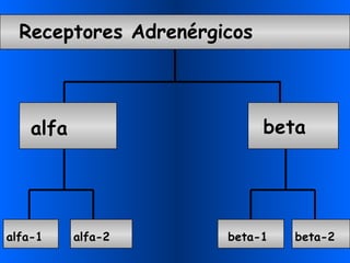 a lfa beta alfa -1 alfa -2 R eceptores  A drenérgicos beta-1 beta-2 
