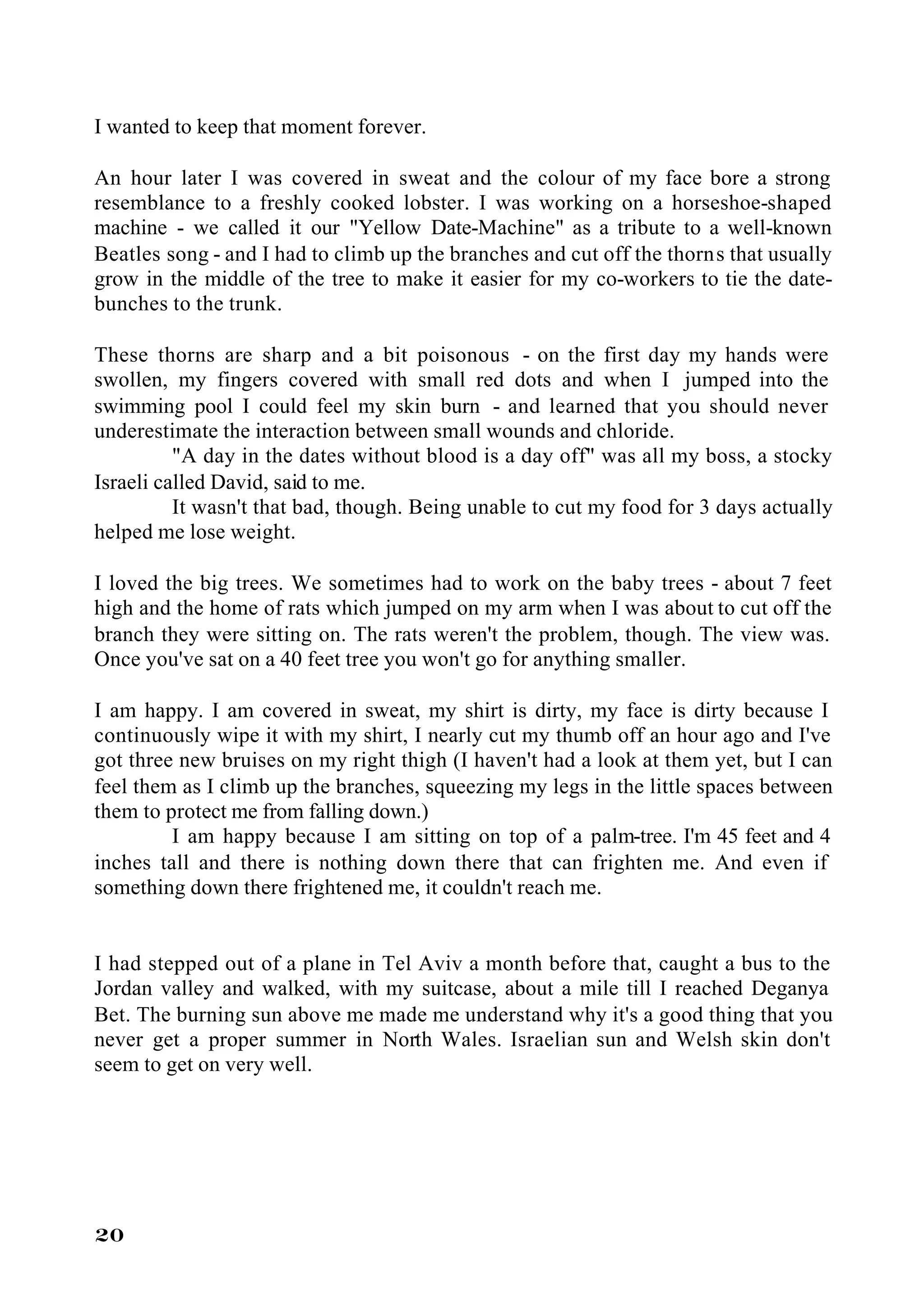 I wanted to keep that moment forever.

An hour later I was covered in sweat and the colour of my face bore a strong
resemblance to a freshly cooked lobster. I was working on a horseshoe-shaped
machine - we called it our "Yellow Date-Machine" as a tribute to a well-known
Beatles song - and I had to climb up the branches and cut off the thorns that usually
grow in the middle of the tree to make it easier for my co-workers to tie the date-
bunches to the trunk.

These thorns are sharp and a bit poisonous - on the first day my hands were
swollen, my fingers covered with small red dots and when I jumped into the
swimming pool I could feel my skin burn - and learned that you should never
underestimate the interaction between small wounds and chloride.
          "A day in the dates without blood is a day off" was all my boss, a stocky
Israeli called David, said to me.
          It wasn't that bad, though. Being unable to cut my food for 3 days actually
helped me lose weight.

I loved the big trees. We sometimes had to work on the baby trees - about 7 feet
high and the home of rats which jumped on my arm when I was about to cut off the
branch they were sitting on. The rats weren't the problem, though. The view was.
Once you've sat on a 40 feet tree you won't go for anything smaller.

I am happy. I am covered in sweat, my shirt is dirty, my face is dirty because I
continuously wipe it with my shirt, I nearly cut my thumb off an hour ago and I've
got three new bruises on my right thigh (I haven't had a look at them yet, but I can
feel them as I climb up the branches, squeezing my legs in the little spaces between
them to protect me from falling down.)
         I am happy because I am sitting on top of a palm-tree. I'm 45 feet and 4
inches tall and there is nothing down there that can frighten me. And even if
something down there frightened me, it couldn't reach me.


I had stepped out of a plane in Tel Aviv a month before that, caught a bus to the
Jordan valley and walked, with my suitcase, about a mile till I reached Deganya
Bet. The burning sun above me made me understand why it's a good thing that you
never get a proper summer in North Wales. Israelian sun and Welsh skin don't
seem to get on very well.




20
 