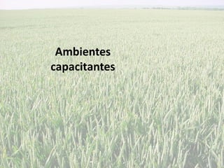 Ambientes
capacitantes
 