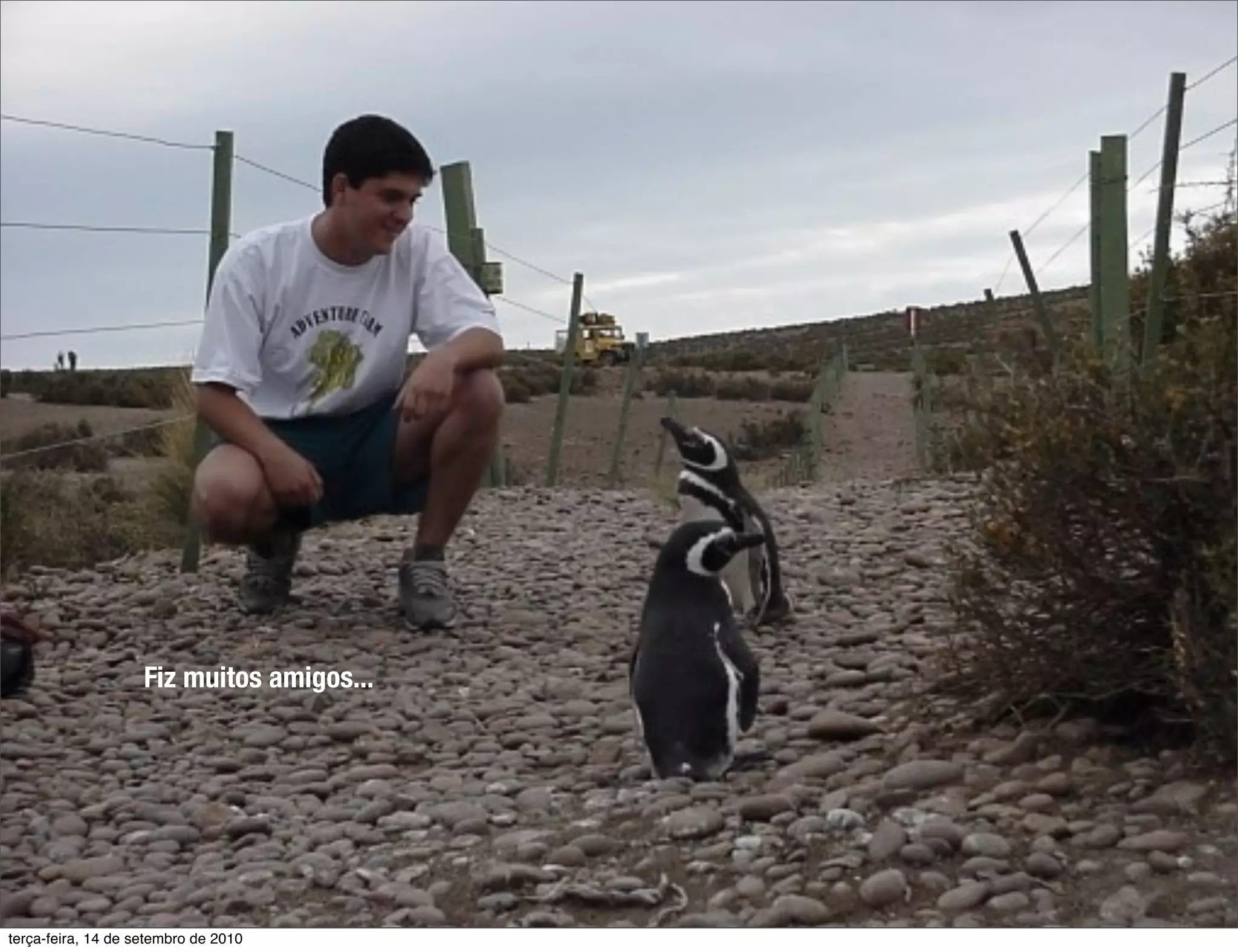 Fiz muitos amigos...




terça-feira, 14 de setembro de 2010
 