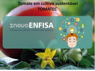 Tomate em cultivo sustentável
TOMATEC
Leonardo Vicente da Silva
SEAPEC-RJ
 