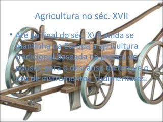 Agricultura no séc. XVII Até ao final do séc. XVII ainda se mantinha na Europa a agricultura tradicional baseada na prática do pousio, para o descanso da terra e o uso de instrumentos  rudimentares.  