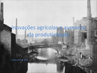 Inovações agrícolas e aumento da produtividade Pedro Nº18  8ºA 