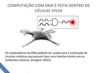 COMPUTAÇÃO COM DNA É FEITA DENTRO DE
CÉLULAS VIVAS
Os computadores de DNA poderão ser usados para a construção de
circuitos sintéticos que possam fazer uma interface direta com os
ambientes celulares. [Imagem: NCSU]
 