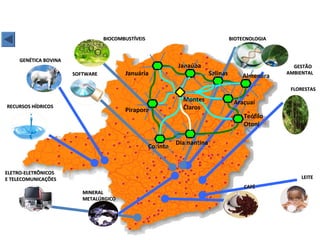 Programa Pólos de Excelência, de Inovação
e APLs
RECURSOS HÍDRICOSRECURSOS HÍDRICOS
GENÉTICA BOVINAGENÉTICA BOVINA
LEITELEITE
MINERALMINERAL
METALÚRGICOMETALÚRGICO
CAFÉCAFÉ
FLORESTASFLORESTAS
GESTÃOGESTÃO
AMBIENTALAMBIENTALSOFTWARESOFTWARE
BIOCOMBUSTÍVEISBIOCOMBUSTÍVEIS BIOTECNOLOGIABIOTECNOLOGIA
Diamantina
Corinto
Janaúba
Salinas Almenara
Araçuaí
Teófilo
Otoni
Montes
ClarosPirapora
Januária
ELETRO-ELETRÔNICOSELETRO-ELETRÔNICOS
E TELECOMUNICAÇÕESE TELECOMUNICAÇÕES
 