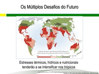 Estresses térmicos, hídricos e nutricionais
tenderão a se intensificar nos trópicos
Source: based on Cline, W. R. 2007. Global Warming and Agriculture: Impact Estimates by Country. Washington D.C.: Peterson Institute
Available at: http://www.unep.org/geo/pdfs/geo5/GEO5_report_full_en.pdf
Os Múltiplos Desafios do FuturoOs Múltiplos Desafios do Futuro
 