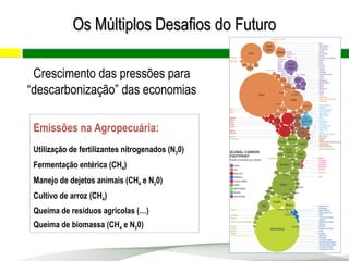 Emissões na Agropecuária:
Utilização de fertilizantes nitrogenados (N20)
Fermentação entérica (CH4)
Manejo de dejetos animais (CH4 e N20)
Cultivo de arroz (CH4)
Queima de resíduos agrícolas (…)
Queima de biomassa (CH4 e N20)
Crescimento das pressões para
“descarbonização” das economias
Os Múltiplos Desafios do FuturoOs Múltiplos Desafios do Futuro
 