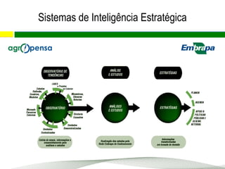 Sistemas de Inteligência Estratégica
 