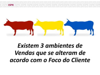 Existem 3 ambientes de
Vendas que se alteram de
acordo com o Foco do Cliente
 