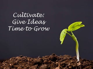 Cultivate: Give Ideas Time to Grow