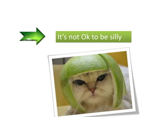It’s not Ok to be silly 