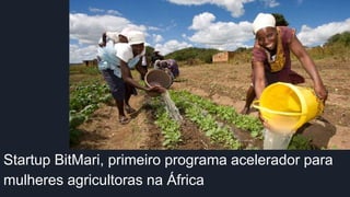 Startup BitMari, primeiro programa acelerador para
mulheres agricultoras na África
 