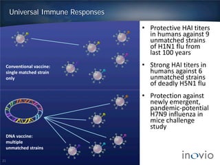 Universal Immune Responses
21
• Protective HAI titers
in humans against 9
unmatched strains
of H1N1 flu from
last 100 years
• Strong HAI titers in
humans against 6
unmatched strains
of deadly H5N1 flu
• Protection against
newly emergent,
pandemic-potential
H7N9 influenza in
mice challenge
study
Conventional vaccine:
single matched strain
only
DNA vaccine:
multiple
unmatched strains
 