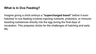 In oVo Feeding technique In ovo feeding is the practice of injecting ...