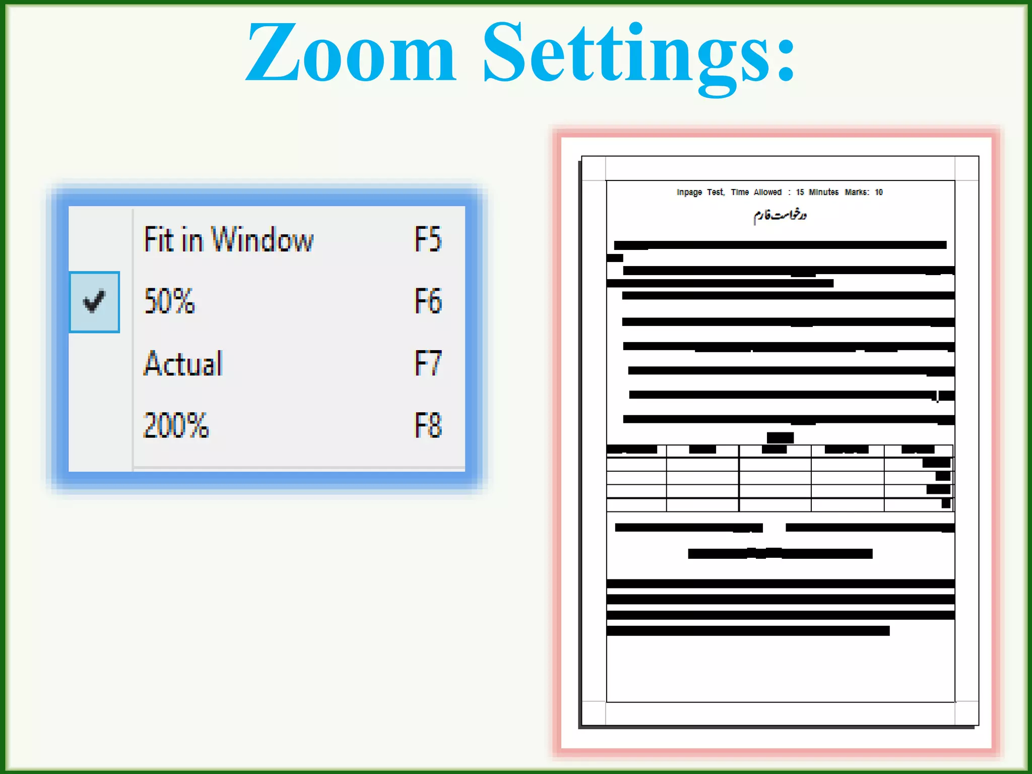 Zoom Settings:
 
