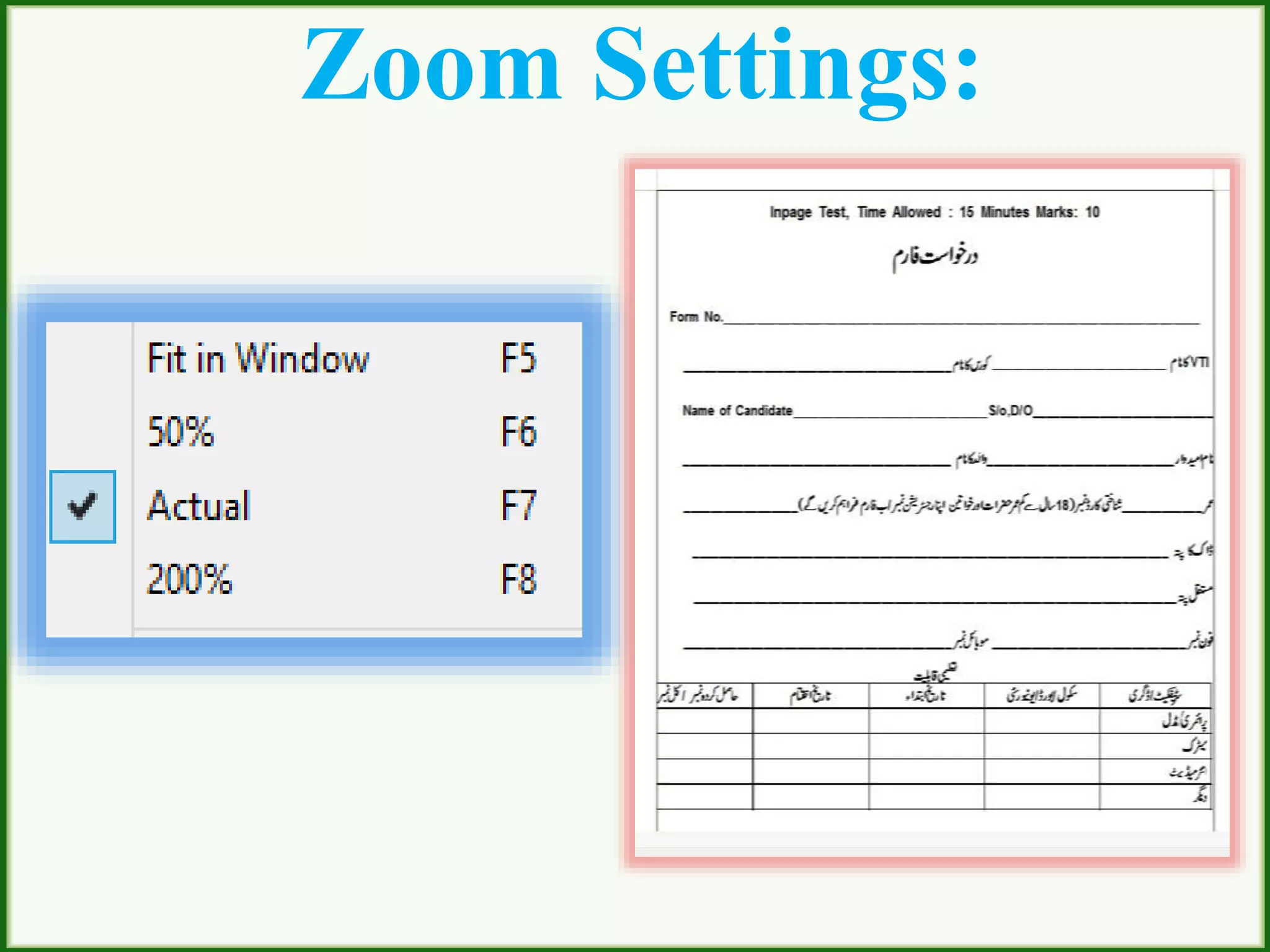 Zoom Settings:
 
