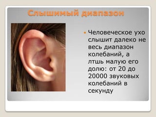 Слышимый диапазонЧеловеческое ухо слышит далеко не весь диапазон колебаний, а лтшь малую его долю: от 20 до 20000 звуковых колебаний в секунду