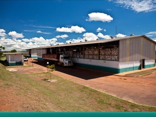 Container Management Program - João Cesar Rando