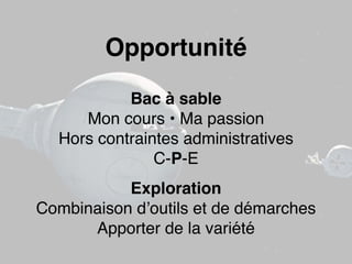 Opportunité 
Bac à sable 
Mon cours • Ma passion 
Hors contraintes administratives 
C-P-E 
Exploration 
Combinaison d’outils et de démarches 
Apporter de la variété 
 