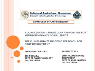 COURSE (PP-606) – MOLECULAR APPROACHES FOR
IMPROVING PHYSIOLOGICAL TRAITS
TOPIC - INPLANTA TRANSGENIC APPROACH FOR
CROP IMPROVEMENT
COURSE INSTRUCTOR –
DR. R K PANDA
DEPT. OF PLANT PHYSIOLOGY
CA, OUAT, BBSR
PRESENTED BY –
JYOTI PRAKASH SAHOO
01ABT/PHD/17
DEPT. OF AGRIL. BIOTECH.
CA, OUAT, BBSR
DEPARTMENT OF PLANT PHYSIOLOGY
1
 