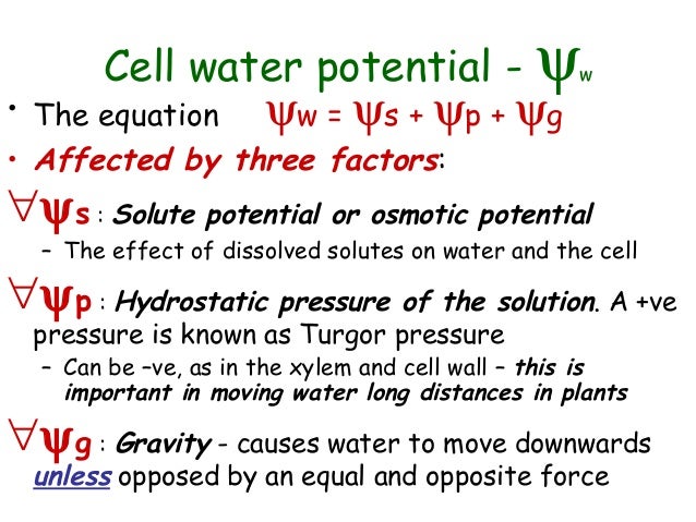 water potential equation