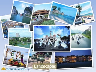 Landscapes
 