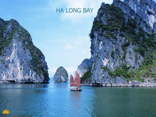 HA LONG BAY
 
