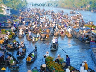 MEKONG DELTA
 