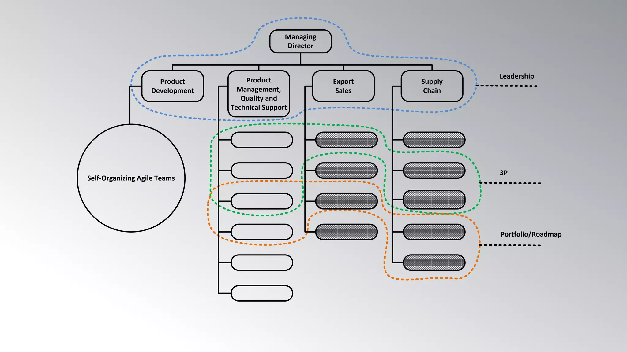 Managing
Director
Export
Sales
Product
Management,
Quality and
Technical Support
Supply
Chain
Product
Development
Self-Organizing Agile Teams
Leadership
3P
Portfolio/Roadmap
 