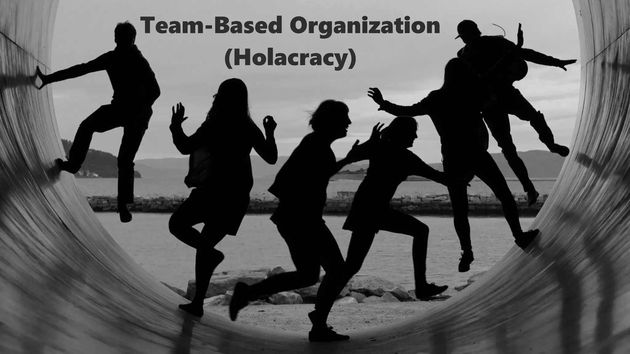 Team-Based Organization
(Holacracy)
 