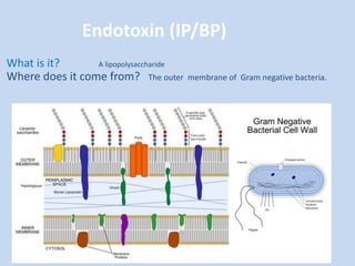 Inprocess as per usp ip bp injection | PPTX