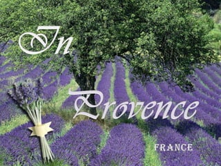 In Provence FRANCE 