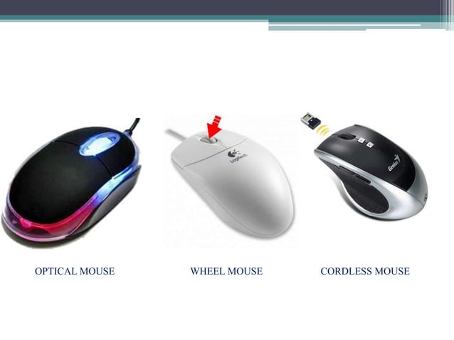 INPUT,OUTPUT AND STORAGE DEVICES | PPTX | Data Storage and Warehousing ...