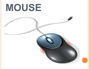 MOUSE
 
