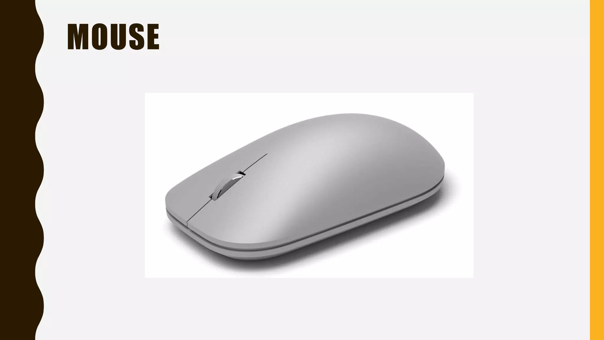 MOUSE
 