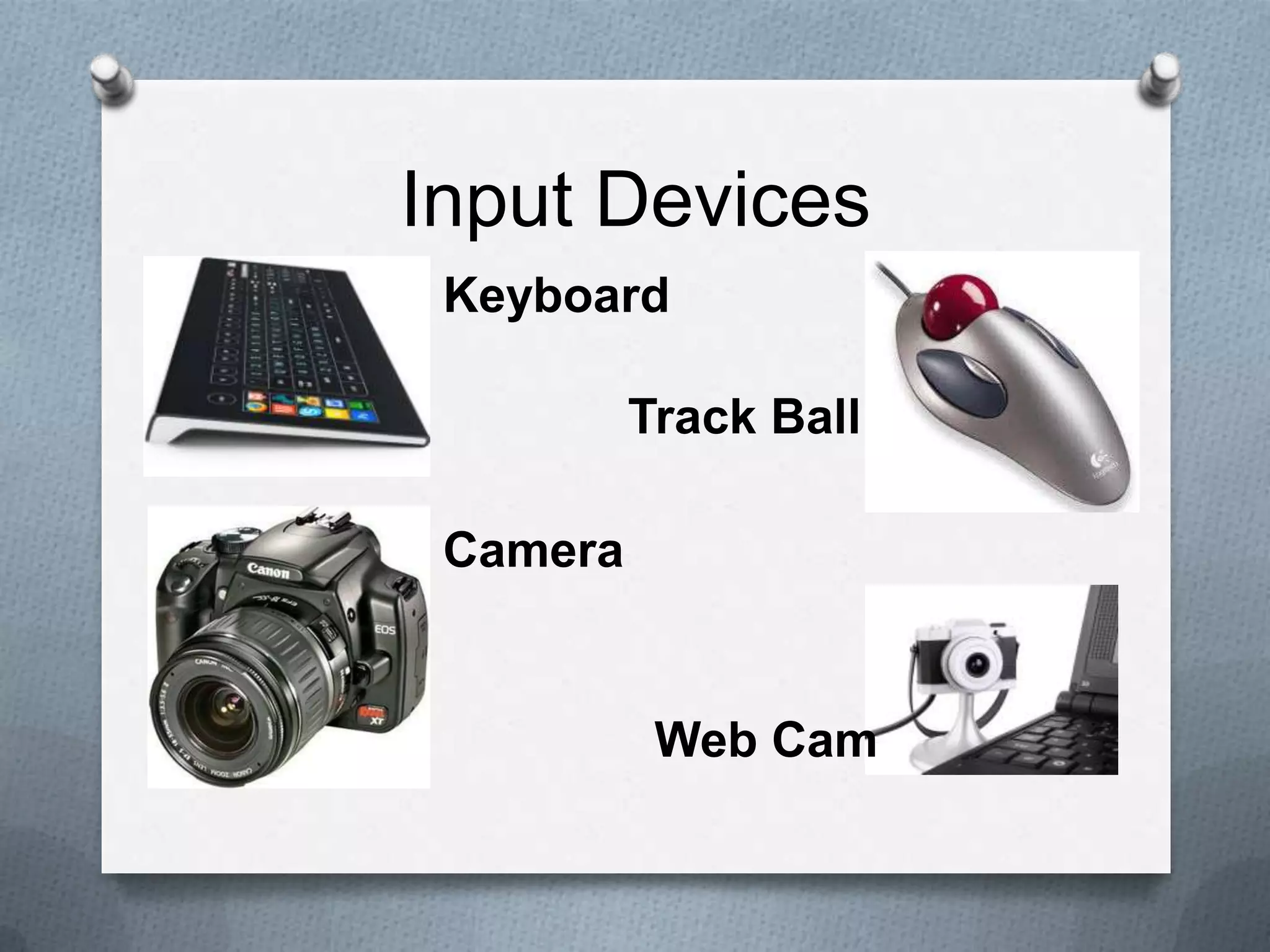 Input Devices
Keyboard
Track Ball
Camera
Web Cam