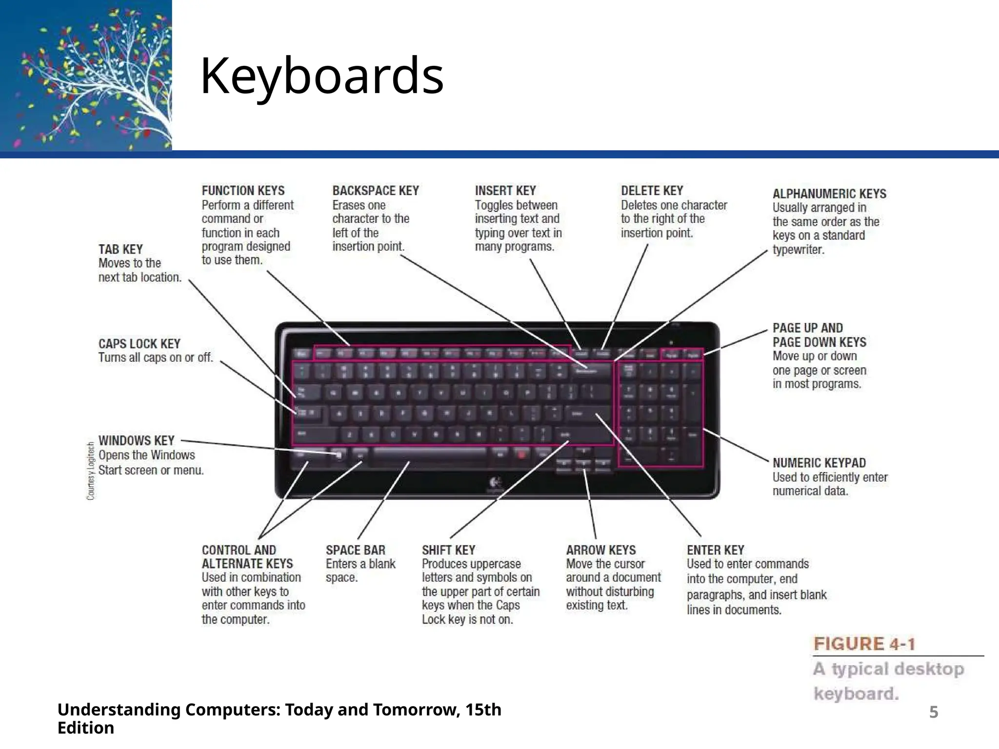 Keyboards
Understanding Computers: Today and Tomorrow, 15th
Edition
5
 